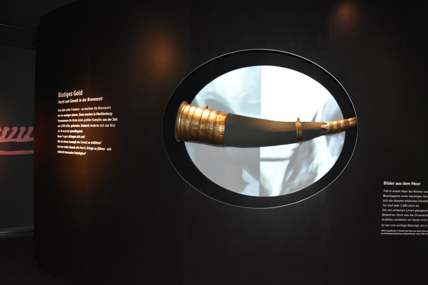 Foto aus der Ausstellung "Blutiges Gold": In einer schwarzen Wand ist ein ovales Loch zu sehen. In dem Loch hängt ein Horn mit golden leuchtenden Beschlägen. Der Hintergrund hinter dem Horn ist hell. Rechts und links auf der Wand steht Text, ganz links ist eine Zeichnung an der Wand zu erkennen. (© LAKD M-V/LA)